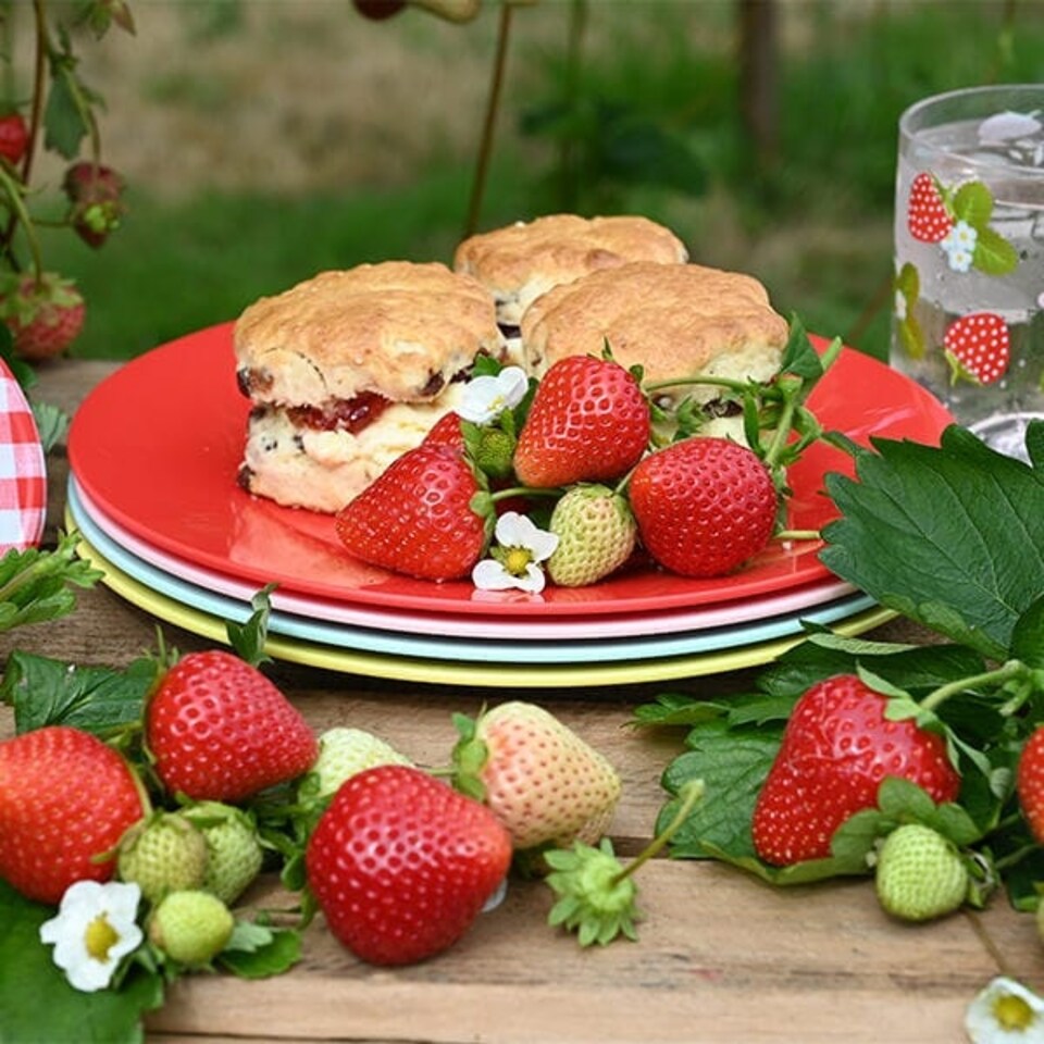 image 1 of Summerhouse by Navigate Strawberries & Cream Set of 4 Plates