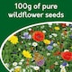 image 5 of Pronto Seed Pure Wildflower Seed Mix 100g, Covers 100m²