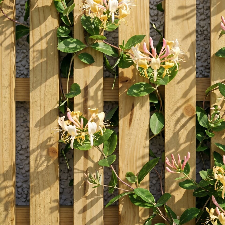 image 1 of Premier Florence Wooden  W:6ft x H:4ft Trellis Fence Panel Topper Screen (Pack of 5)