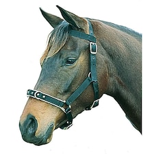 Kincade Nylon Padded Lunge Cavesson - Black - Full