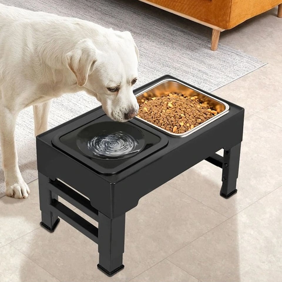 image 1 of Living and Home Height-Adjustable Pet Feeder with Stand, 1.6L Stainless Steel Bowl & 1L Spill-Resistant Water Bowl