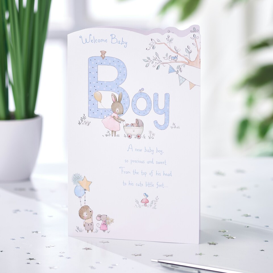 image 1 of Boy Birth Congratulations Card - Cute Animals