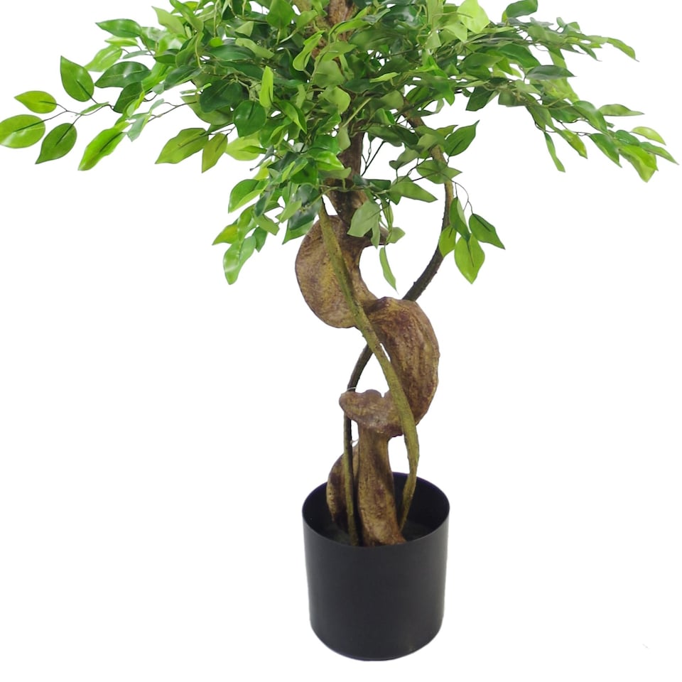 image 1 of 150cm Twisted Trunk Artificial Japanese Fruticosa Style Ficus Tree | Green | One Size