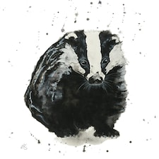Watercolour Badger "The Visitor" - Elizabeth Grant Art Card