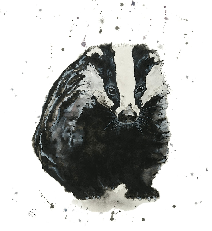 image 1 of Watercolour Badger "The Visitor" - Elizabeth Grant Art Card