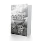 image 2 of Meerkats in a Bathtub in Desert Black White Photo Birthday Greeting Card