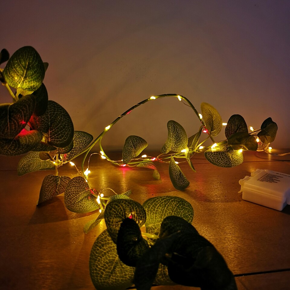 image 1 of Premier MicroBrights Lights 50 LED Red Vintage Gold 2.5m