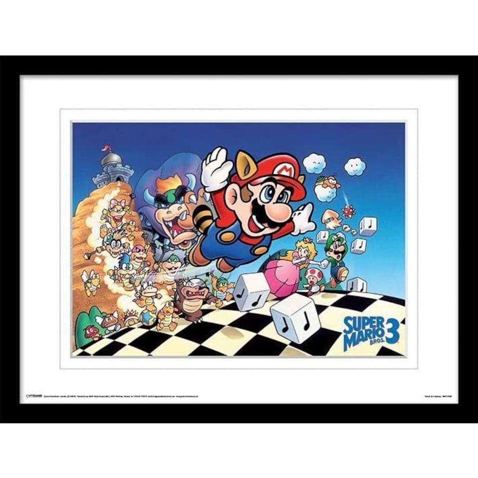 SUPER MARIO BROS. 3 (ART) - MEMORABILIA RANGE - DMP11308P