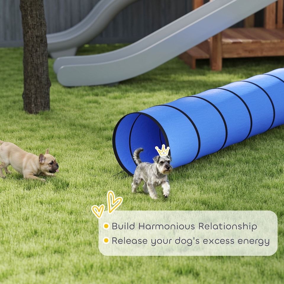 image 1 of PawHut Dog Tunnel 300cm , Foldable Play Tunnel with 4 Ground Pegs and Bag | Blue | Blue | 300 x 50 x 50 cm