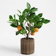 image 4 of OHS Home Decor Artificial Orange Tree In Pot Plant, 40cm - Orange