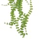 image 3 of Hanging UV and Fire Resistant Artificial Plant Pearl String 92cm