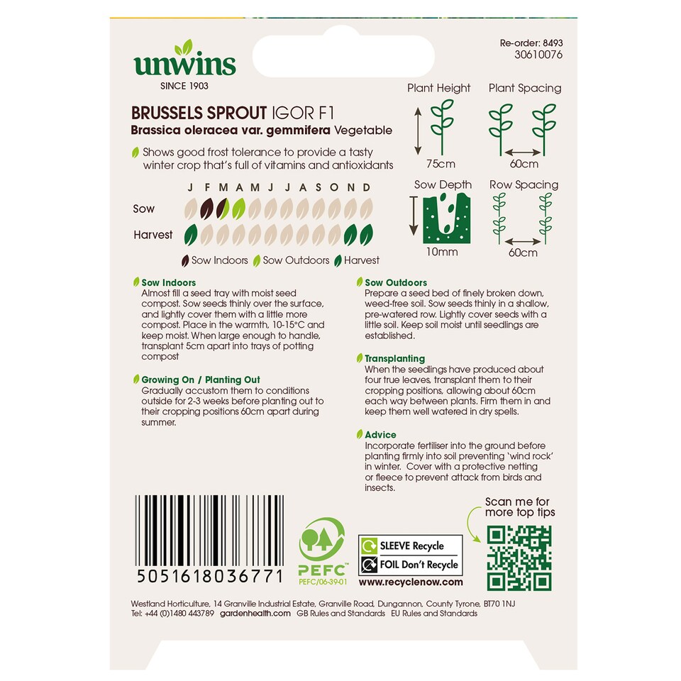 image 1 of Brussels Sprout Igor F1 (Organic) | Multi | Green