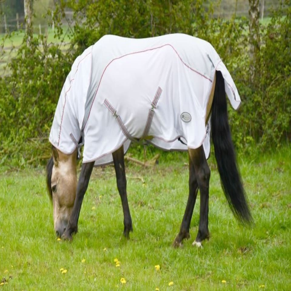 image 1 of Rhinegold Mombasa Fly Rug + Neck Cover Blue | Size: 6ft 3
Colour: Navy Blue
