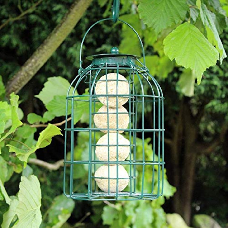 image 1 of Pack of 4 Wild Bird Fat Ball Feeder with Squirrel Guard