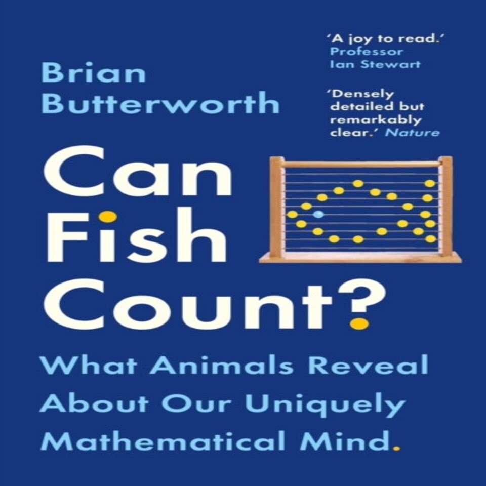 Can Fish Count?