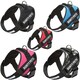image 1 of Dog Body Harness - Bunty Yukon Harness Pink | S