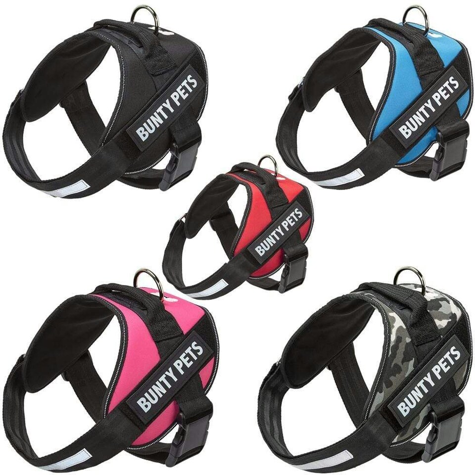 image 1 of Dog Body Harness - Bunty Yukon Harness Pink | S