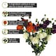 image 2 of Pegdev Pack of 6 Orange Dahlia PomPom Stems 75cm Silk Flowers