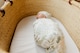 image 6 of Copper Pearl Knitted Swaddle Blanket Rex
