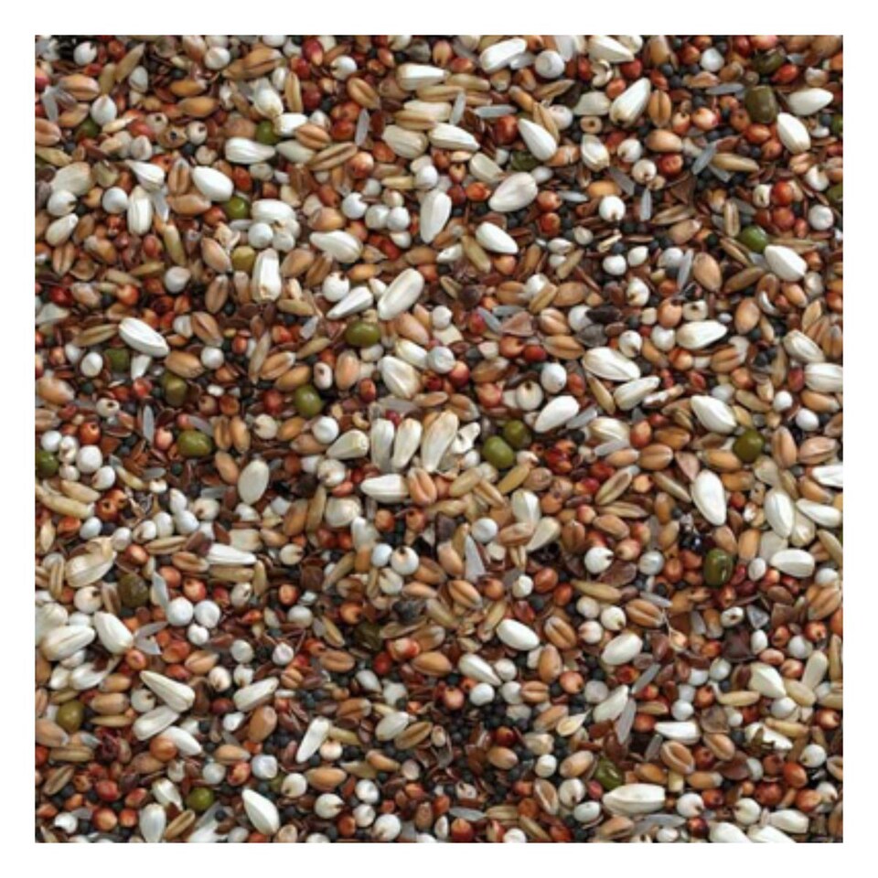 image 1 of Bucktons Pigeon Conditioner 20kg Bird Food