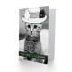 image 2 of Cute Hat Claw Awesome Cat Friendship Card