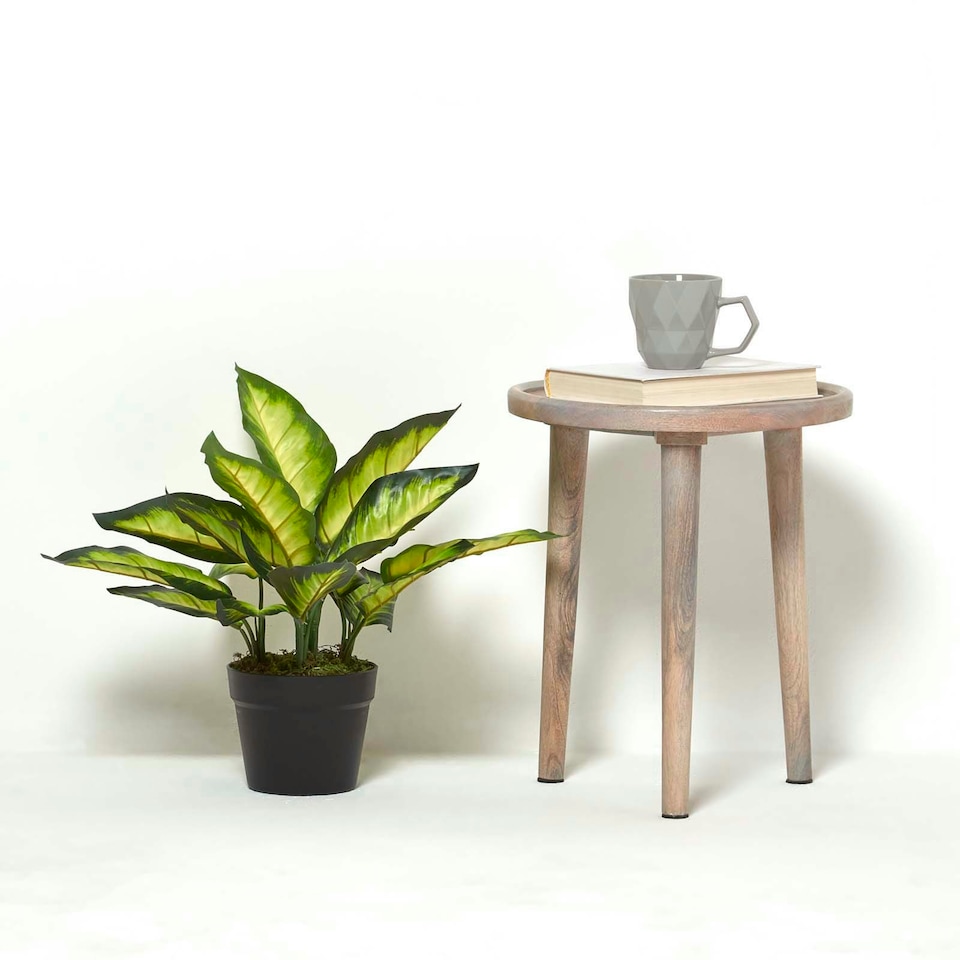 image 1 of Homescapes Dieffenbachia Dumb Cane Plant in Pot, 50 cm Tall