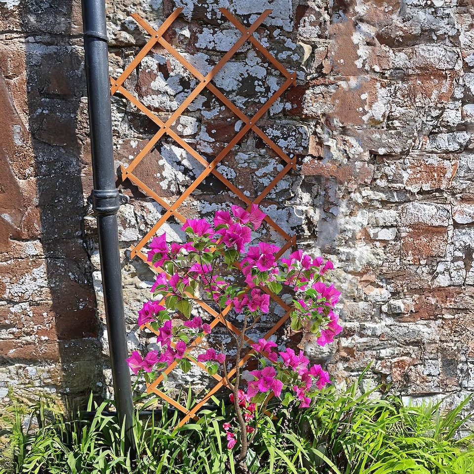 image 1 of Actiasgear 5ft Wooden Expandable Trellis | 9pcs Garden Fence & Plant Support Panels
