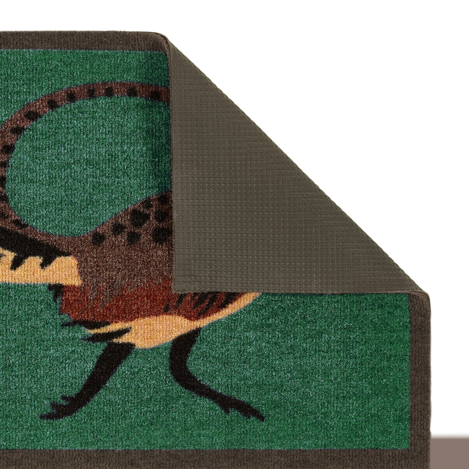 image 1 of My Mat Nylon Indoor Pattern Pheasant Green Door Mat 50x75