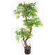 image 3 of 140cm Realistic Artificial Japanese Fruticosa Tree Ficus Tree Gold Metal Brushed Brass Planter | Green | 4ft