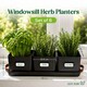 image 2 of Set of 6 Black Indoor Herb Pots with Tray