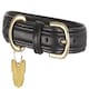 image 4 of Shires Digby & Fox Padded Leather Dog Collar Blue | Size: X-Small
Colour: Aqua