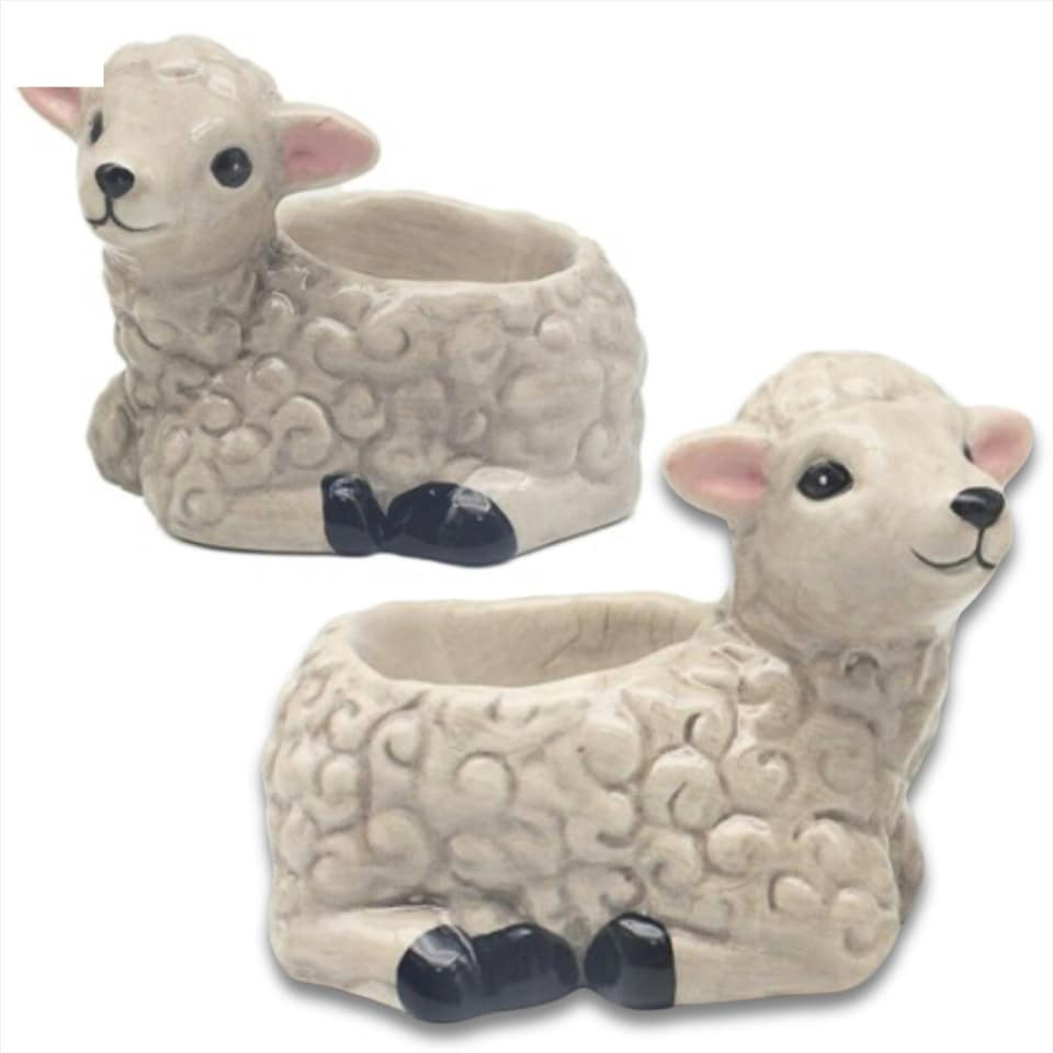 Sheep Shaped Ceramic Egg Cup Set, Gift Boxed