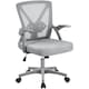 image 1 of Yaheetech  Mesh Office Chair with 90° Flip-up Armrests | Grey | Full Grey