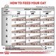 image 3 of Royal Canin Light Weight Care Adult Dry Cat Food - 8 kg | Multi | 8kg | Lamb, Salmon | 1