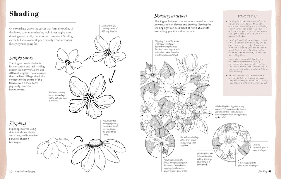 image 1 of The Kew Book of Drawing Flowers