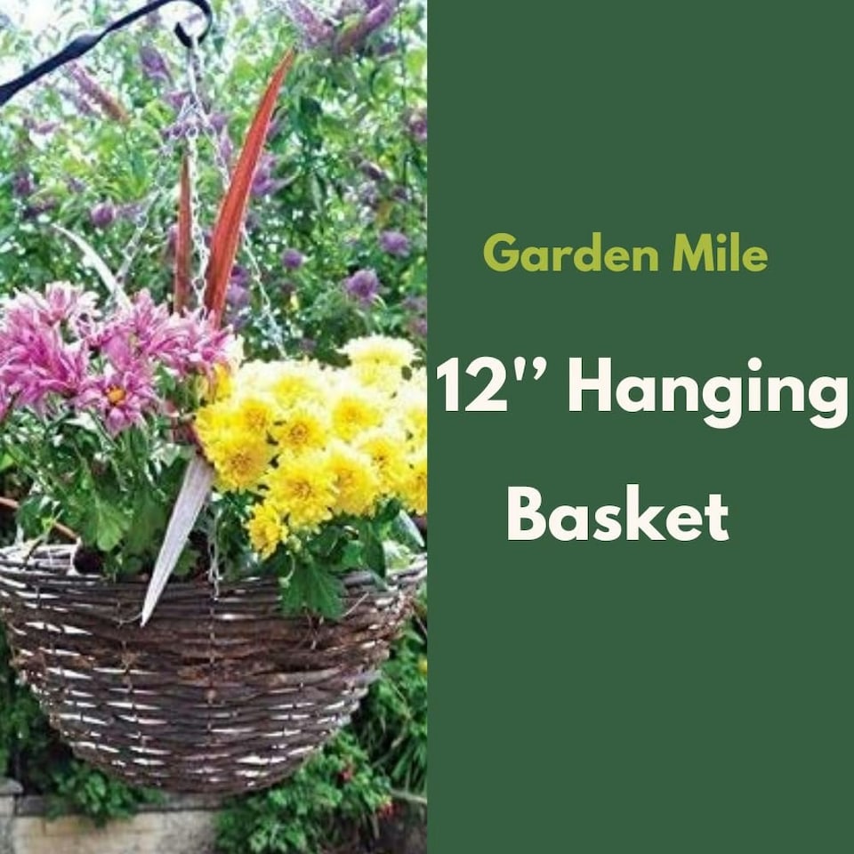 image 1 of Marco Paul Dark Brown Rattan Hanging Basket 12" Brown