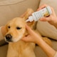 image 5 of Tails of Glory Natural Ear Cleaner for Dogs & Cats
