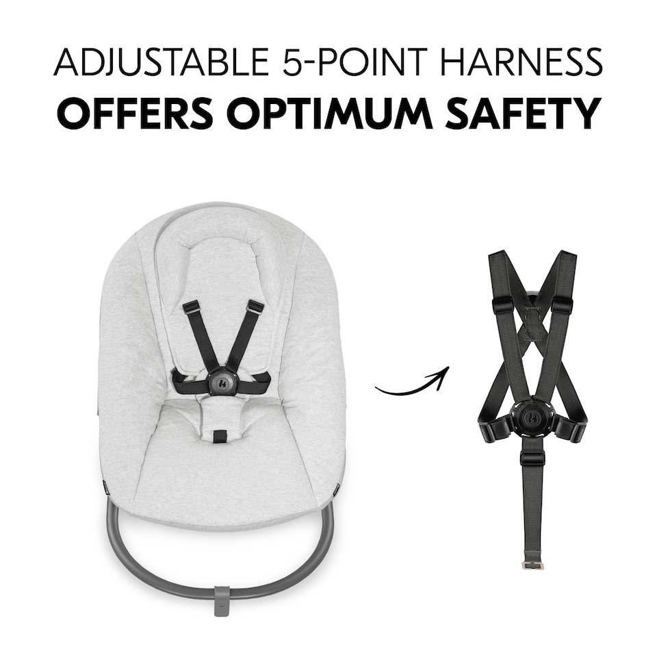 image 1 of hauck Alpha Bouncer Premium - Light Grey