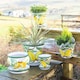 image 4 of Verano Spanish Ceramics Set of 3 Plant Pots - 16-29cm Lemons Multi