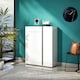 image 1 of FURNICOMP Athens 2 Door 1 Drawer White Gloss and Anthracite 20 Pair Shoe Cabinet