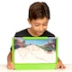 image 7 of Giant Ant Farm