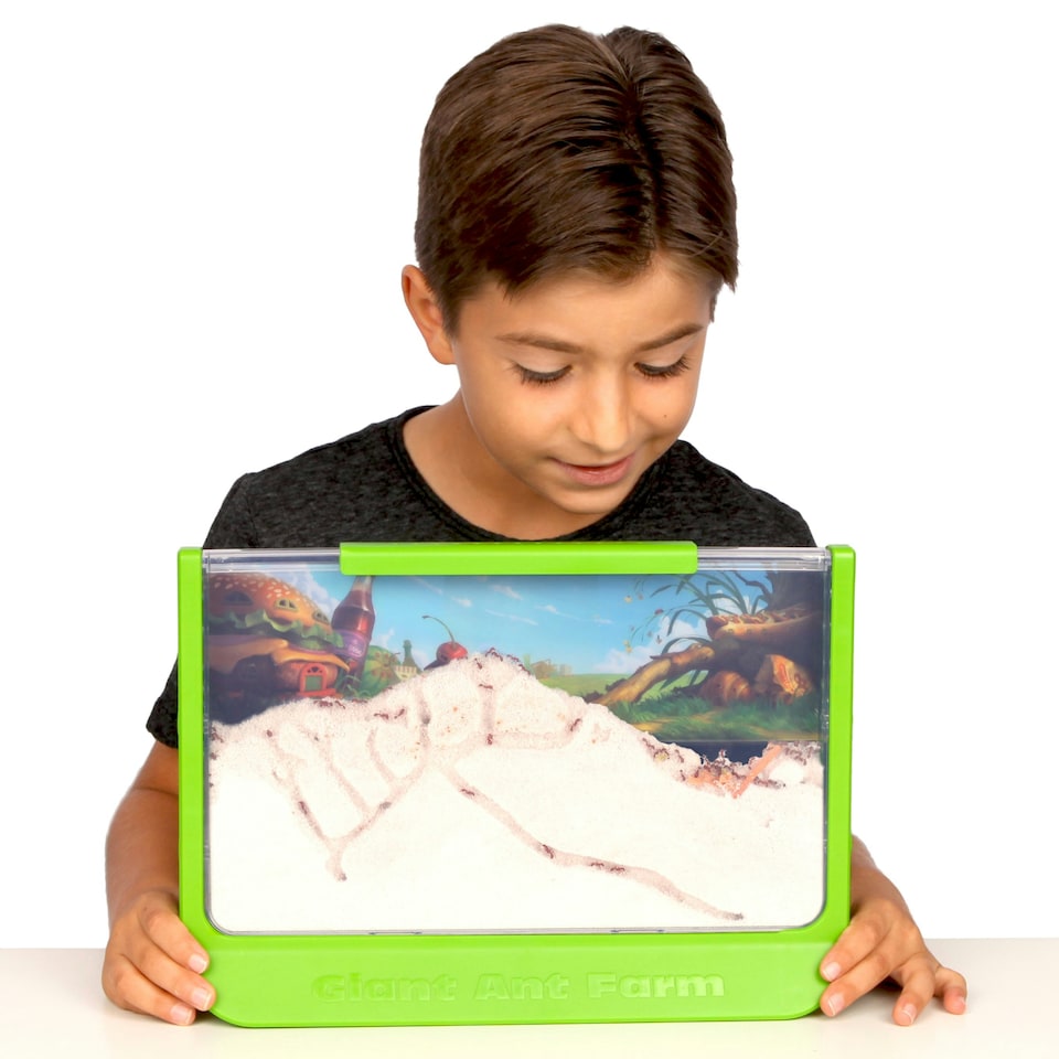 image 1 of Giant Ant Farm
