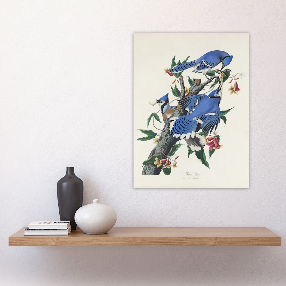 image 1 of Blue Jay and Trumpet Flowers Audubon Nature Huge Wall Art Print 18X24 In