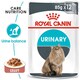 image 1 of Royal Canin Urinary Care Adult Wet Cat Food in Gravy - 24 x 85 g (2 kg) | Multi | 24 x 85g | 1