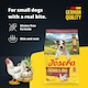 image 2 of Josera Mini Adult Chicken & Rice | Complete dry food for toy & small breeds | Gluten free | Lots of meat | Skin & Coat | Helps reduce tartar | 3kg