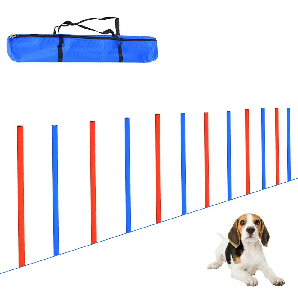 image 1 of PawHut Pet Agility Set Training Dogs Outdoor Outward Play Adjustable Pole