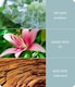 image 3 of Fragrance Reed Diffuser - Botanical Breeze - 70ml | Green