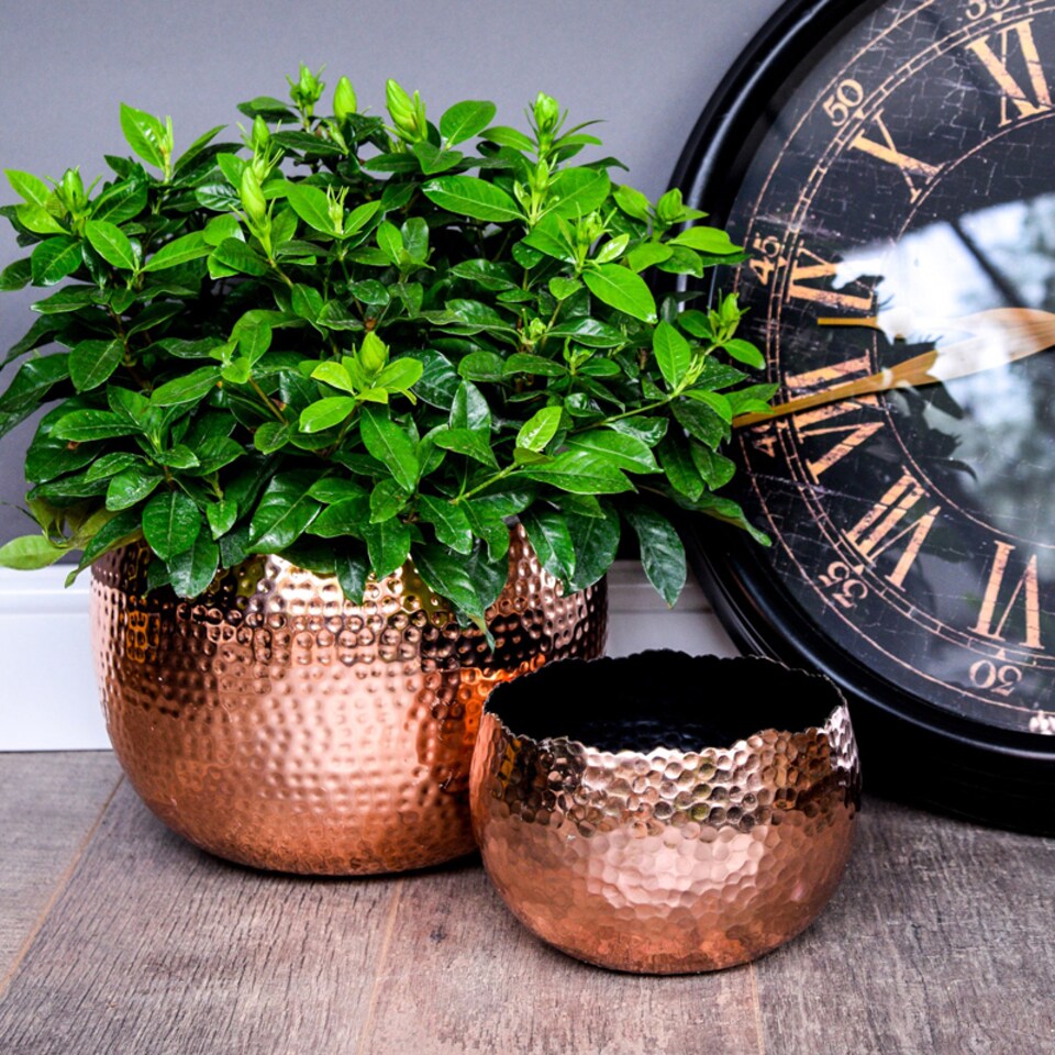 image 1 of Hammered Bowl Planter - Iron - L19 x W19 x H14 cm - Copper | Copper