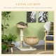 image 3 of PawHut 72cm Cat Tree with 2 Beds, Cat Tower with Scratching Post, Toy Ball for for Indoor Kittens - Beige