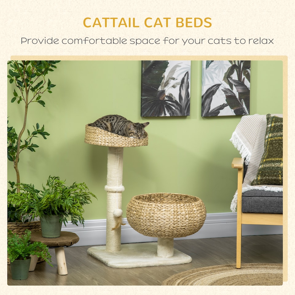 image 1 of PawHut 72cm Cat Tree with 2 Beds, Cat Tower with Scratching Post, Toy Ball for for Indoor Kittens - Beige